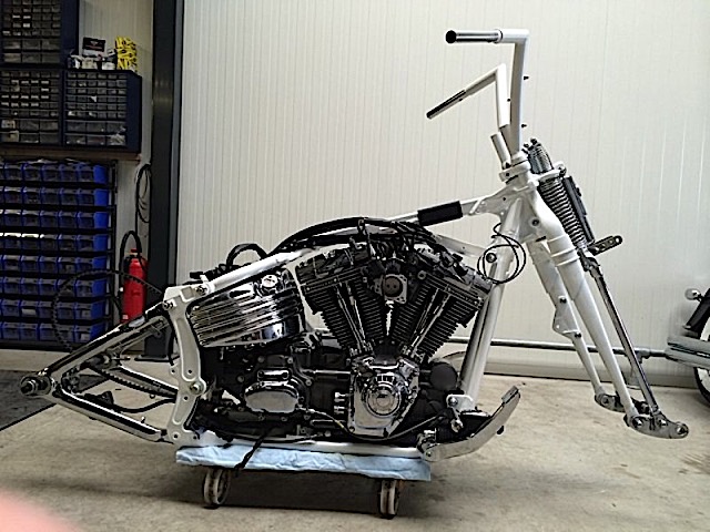 2014_CVOSpringer_6