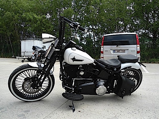 2013_Springer_W____6