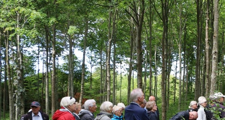 Mødested: Skelhøjeplantage

Skelhøjevej efter nr.10. ved mindesmærke

Hver tirsdag kl. 09:15 - 11:00

Formål: Motion og frisk luft i skøn natur, du kan gå i den tempo der passer dig. Udover motionen får du en snak med andre, efter gåturen er der tid til medbragt kaffe.  
