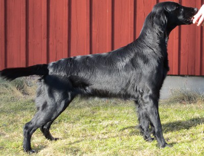 Zwassi våren 2012