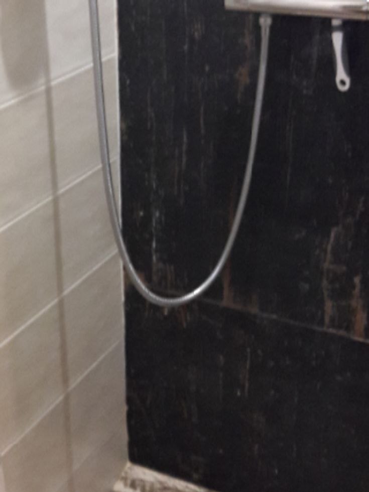 douche a l'italienne