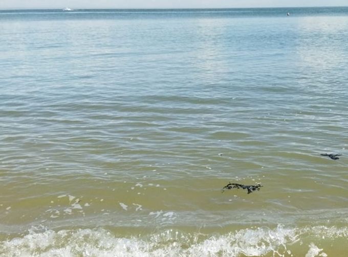 Bienvenue a la plage