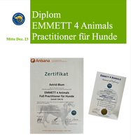Diplom Emmet4Hunde