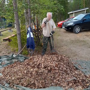Jouni Veijalainen haravoi pihaa