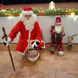 29.11 pukki ja pikkupukki