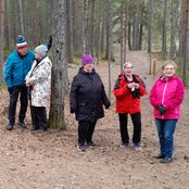 3.5 Saariset