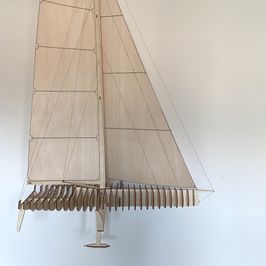 IMOCUP_MUR_1