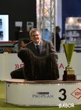 Happy at the BSA BIS-final