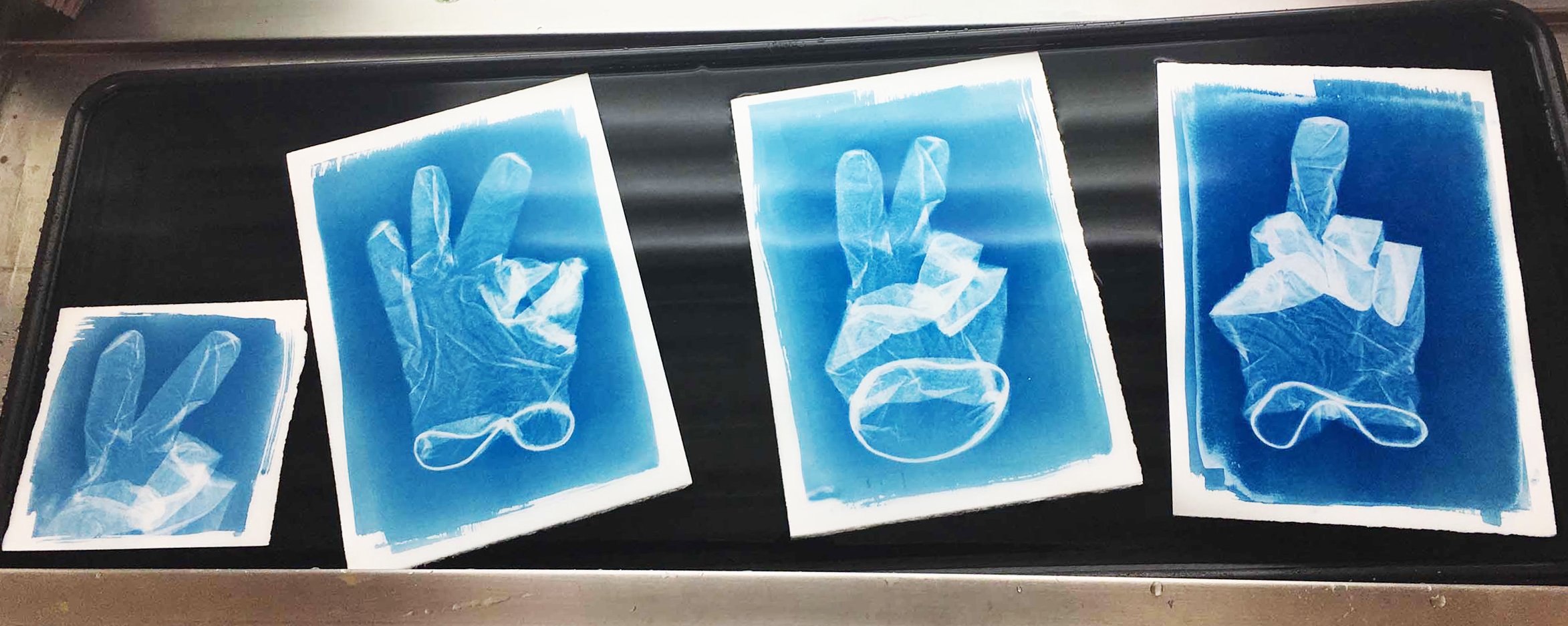 Cyanotype Development Cyanotype | Incubate Experimental Printmaking