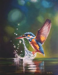 Kingfisher 004