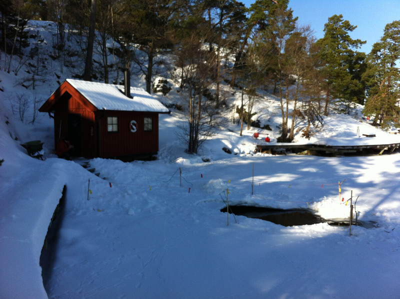 Bastun i vinterskrud