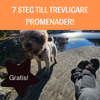 7 STEG TILL TREVLIGARE PROMENADER