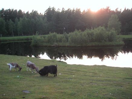 PICT0029
