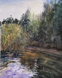 Kvällsljus på stranden