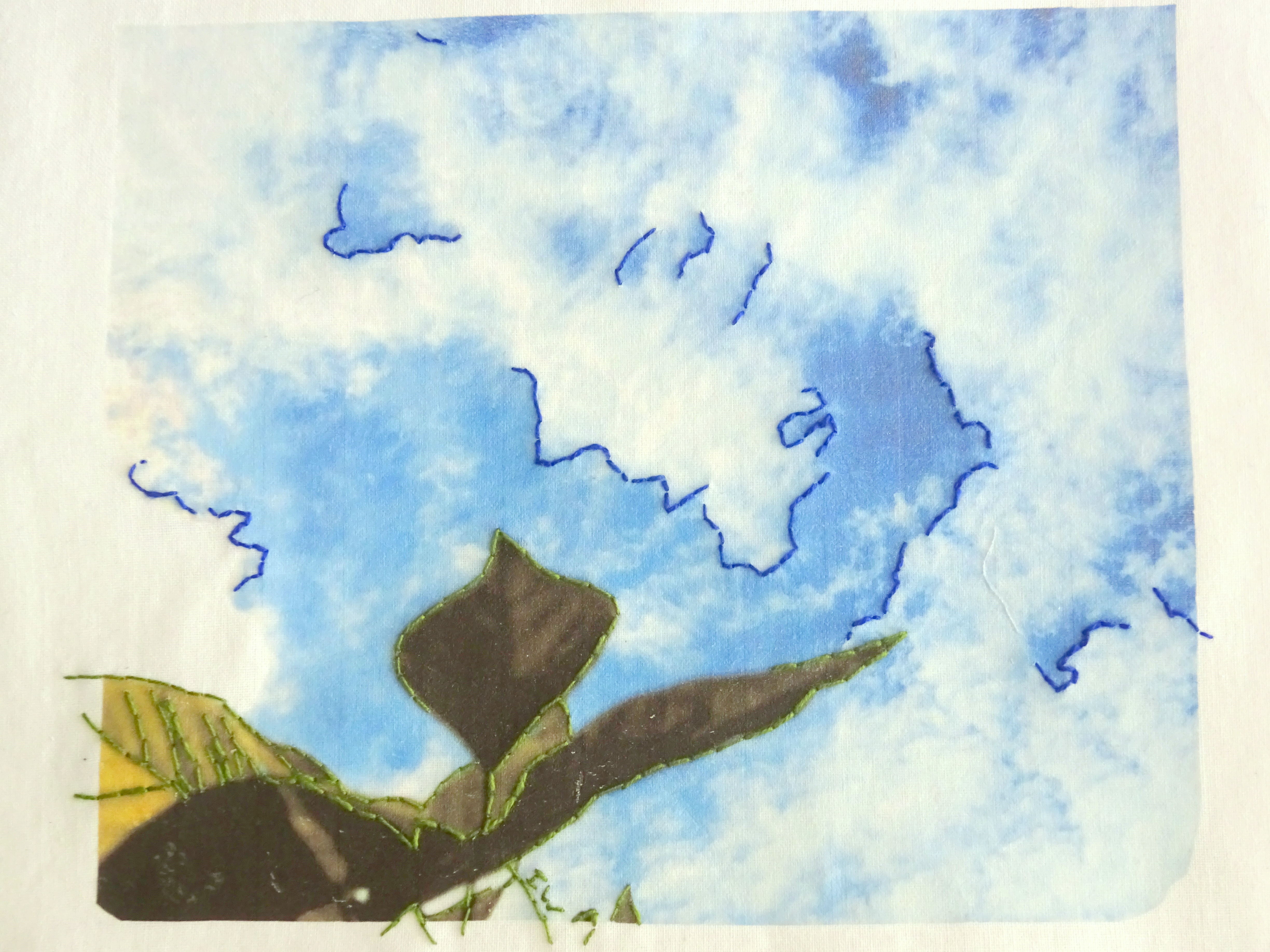 Wolkenluchten 
