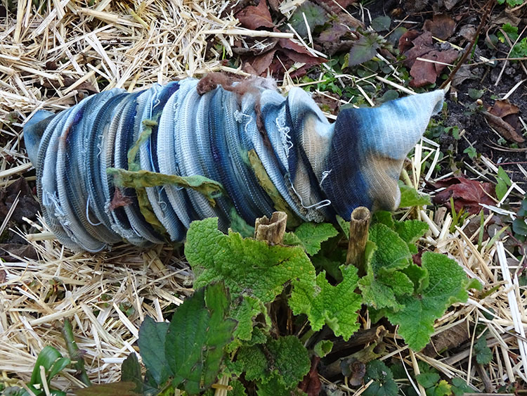 Verongelukt-Steenkruipertje