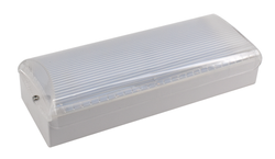Bjarte Neo Sense smooth dimming wit RAL9016 mat prismatische kap