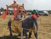 ink horse show fancy dress 2