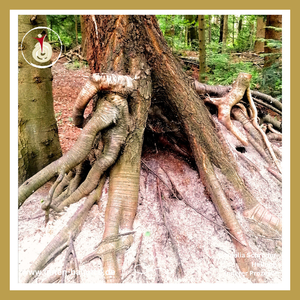 Wald2