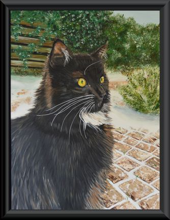 Zwarte Maine Coon in de sneeuw