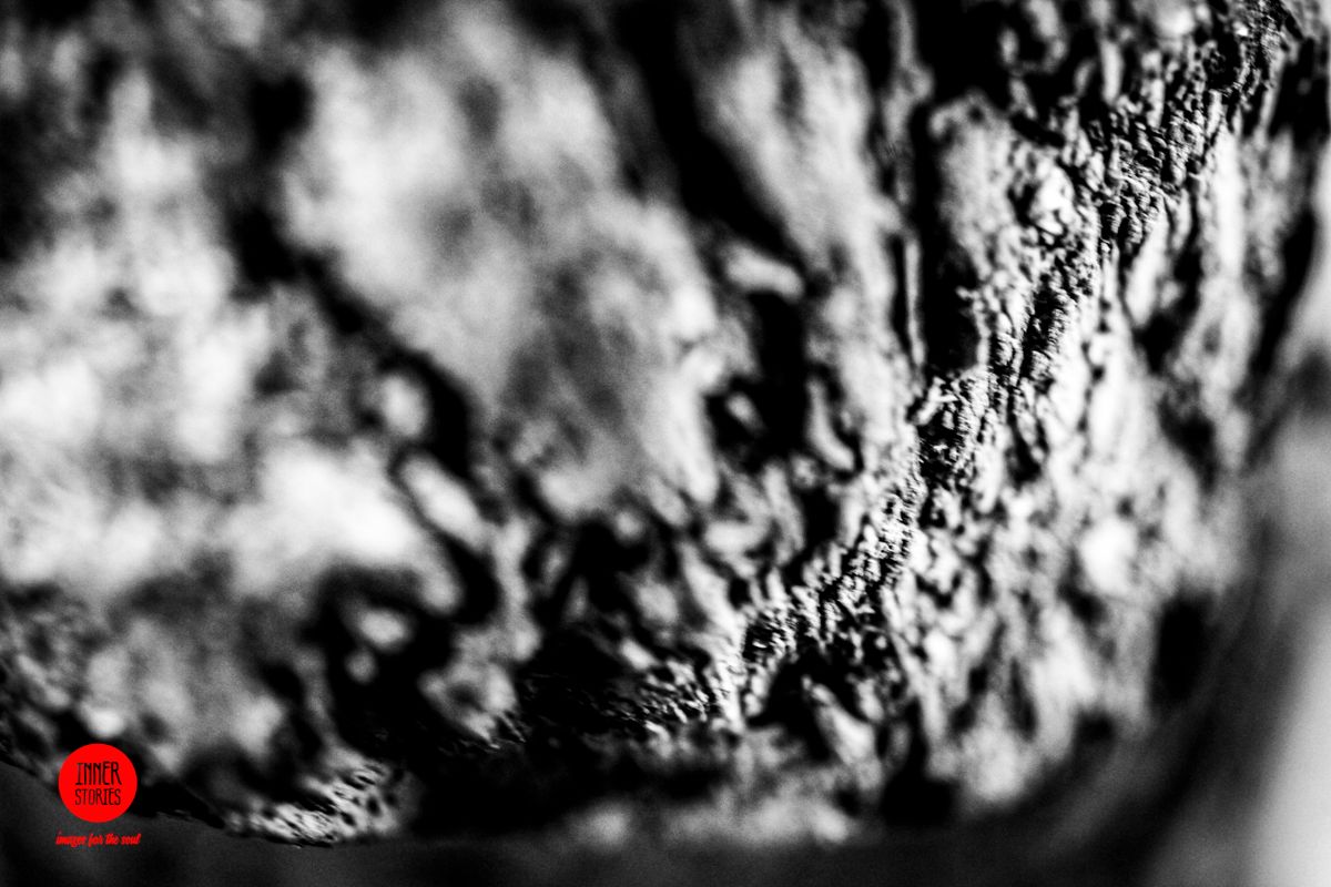aranciaia abstract-21