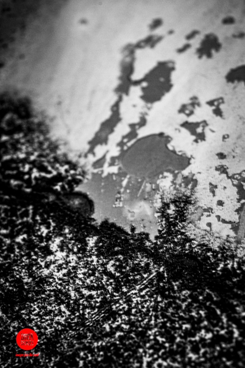 aranciaia abstract-25