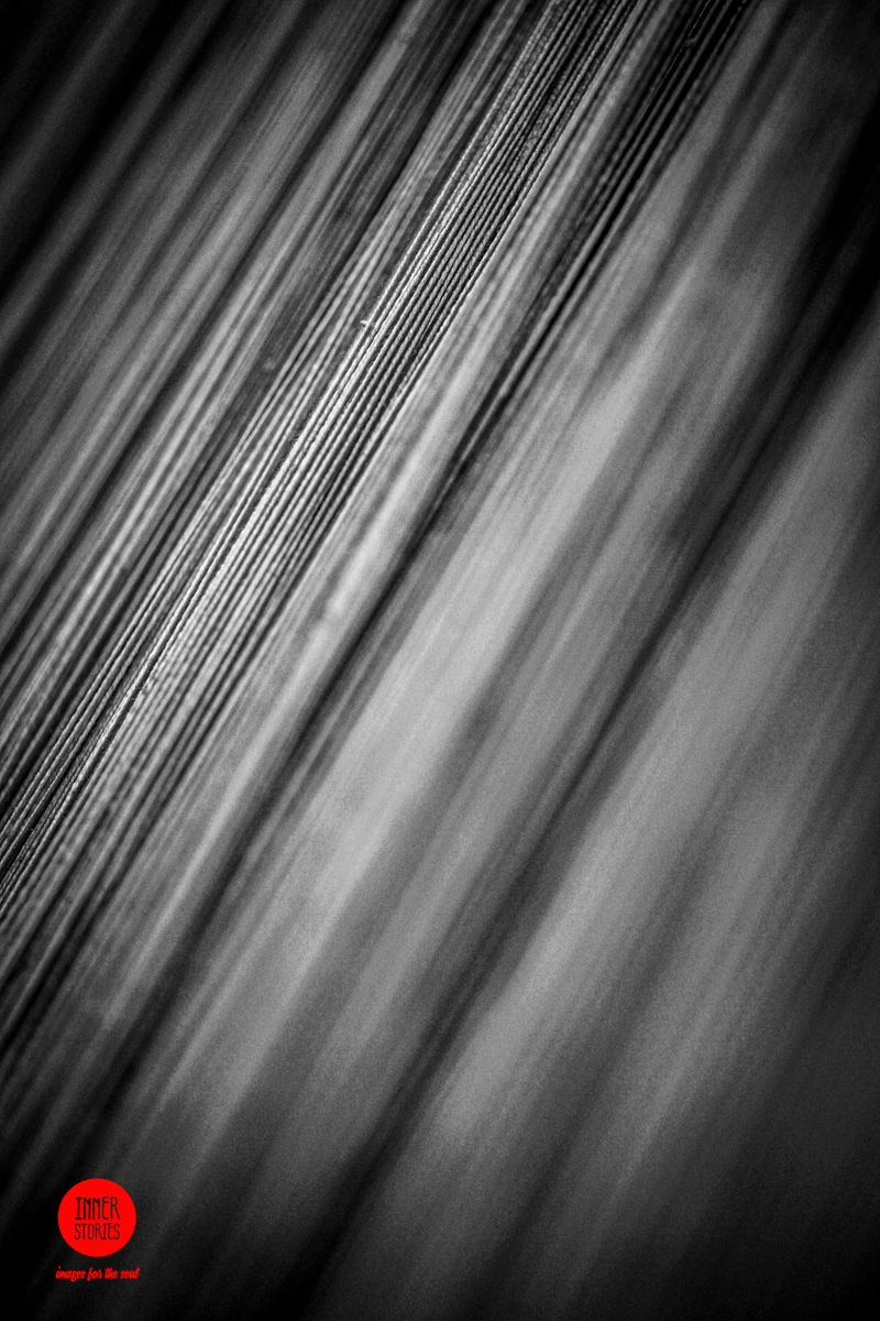 aranciaia abstract-40