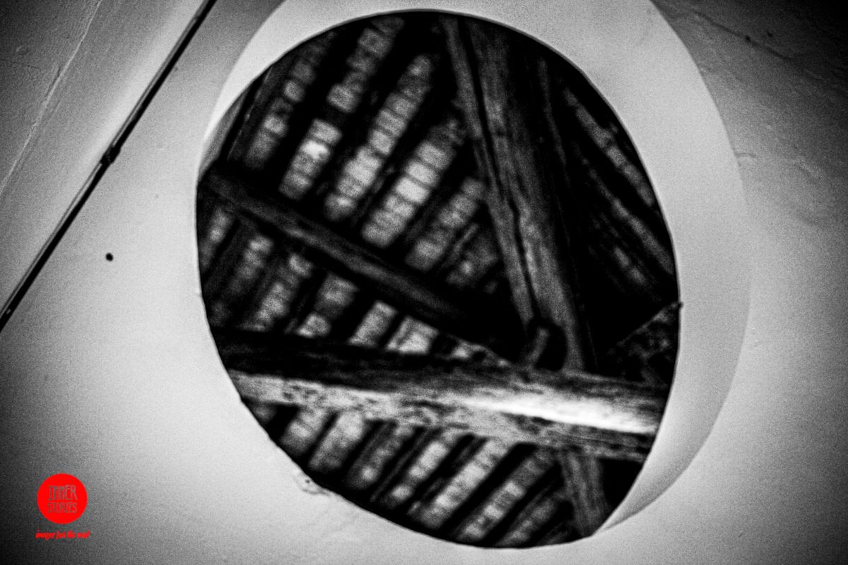 aranciaia abstract-41