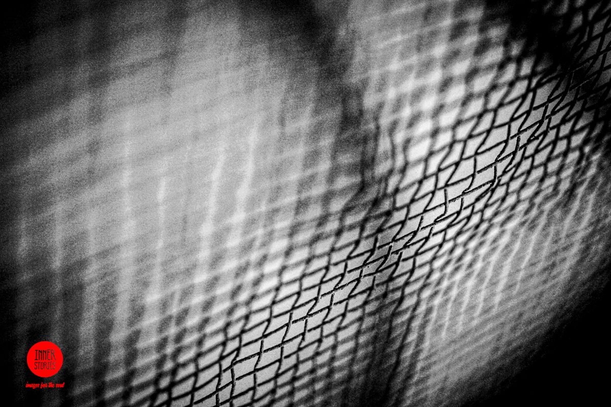 aranciaia abstract-44