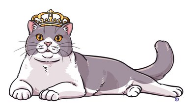 Rassekatzenverein Rassekatzenverein