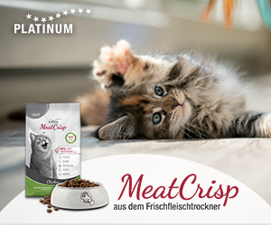 Platinum Katzenfutter