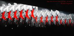 The Wall