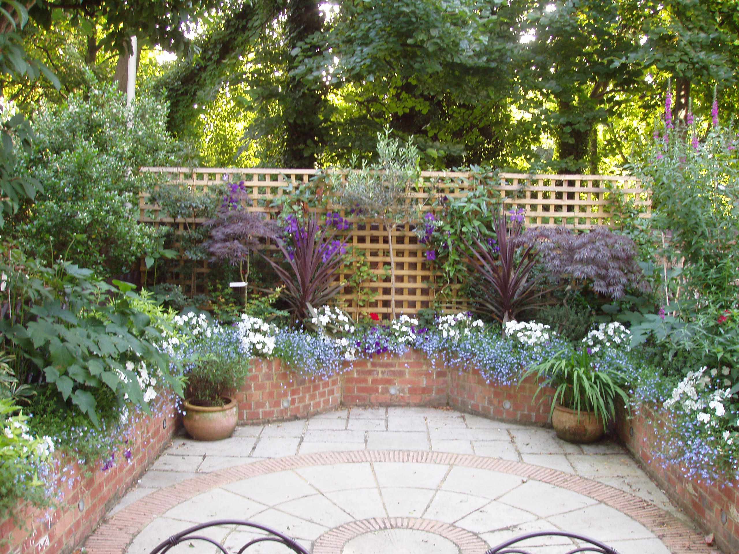 Court Yard with Plants