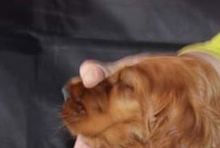 @ 9 weeks