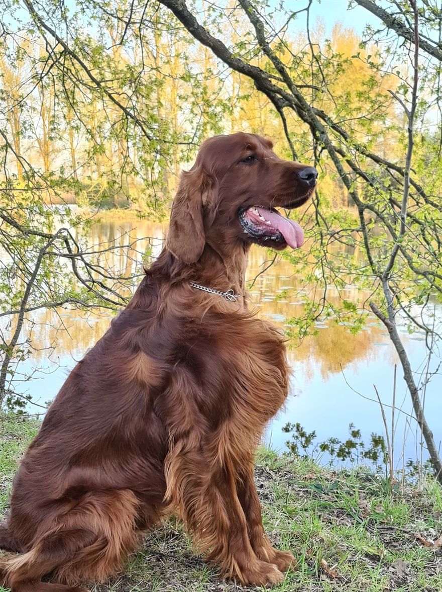 Thor @ 12 months