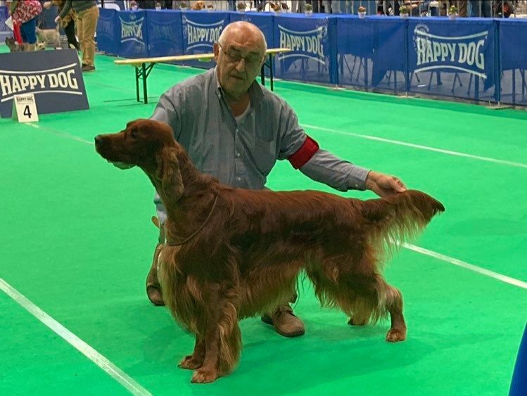 47th IDS Maastricht