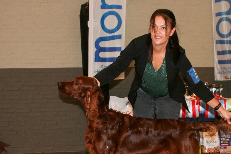 Best puppy in Show @ Piet Roks Jongehondendag NL