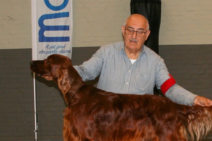 Best Dog in Show @ PRJHD NL '21