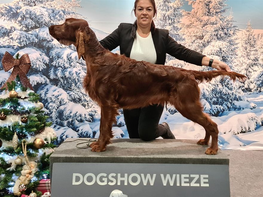 9 month's @ Dogshow Wieze
