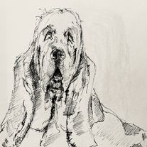 Irene-Keil-Freiburg-Heldenreise-Tierkommunikation-3.3