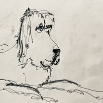 Irene-Keil-Freiburg-Heldenreise-Tierkommunikation-3.2