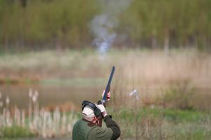 IMG_2049