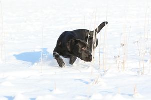 IMG_4605