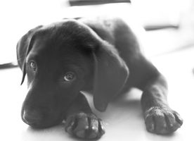 copper (1)