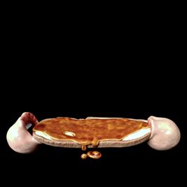 I eat, therefore I am (Bread)