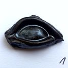 Ocular (Eye) 1