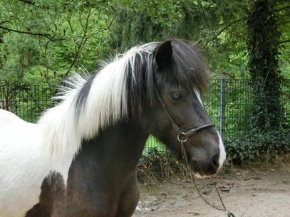 CIMG4113_Elja