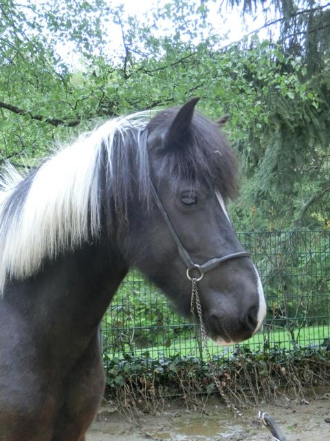 CIMG4115_Elja