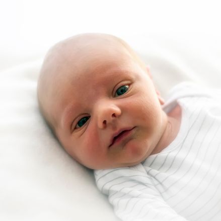 BV portret Arthur