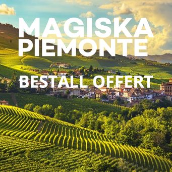 Upplev magiska Piemonte - Asti/Alba/La Morra och Barolo 